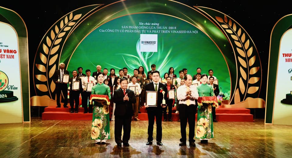 Giống lúa thuần ĐB18 - “THƯƠNG HIỆU VÀNG NÔNG NGHIỆP VIỆT NAM NĂM 2024”